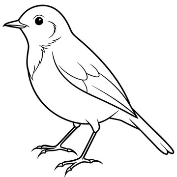 recommend clip art: Robin line art vector illustration svg file