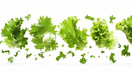 Obraz premium Fresh green lettuce leaves fall in a white background.