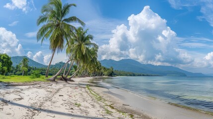 Obraz premium A panoramic view of a pristine tropical beach, featuring palm trees, white sand, and crystal-clear turquoise waters under a bright blue sky with puffy white clouds.