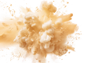 Dry Soil explosion with dirt and cloud smoke. Isolated on white background. Dirty ground abstract spread with flying particles