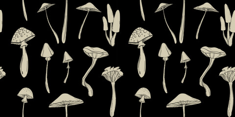Monochrome seamless pattern with poisonous mushrooms, hand-drawn vector illustration