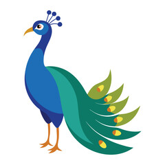 illustration of a peacock