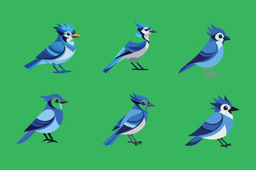 set of birds