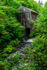 Old mill in the forest