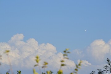 Landscape with clouds