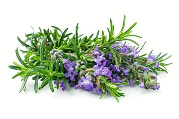 Fresh rosemary and green bouquet with purple flowers White background