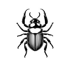 Monochrome Beetle Design