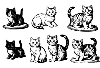 Inked Felines: A Collection of Vintage Cat Drawings