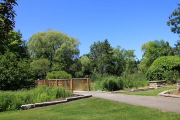 Summer landscape with trees  and bridge