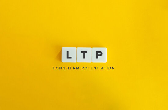 Long-term Potentiation (LTP) .