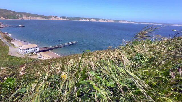 High Wide View of the Historic Point Reyes Lifeboat Station Pier in the Ocean. Clear Skies on a Windy Day with Vegetation Waving in the Frame. Chimney Trail Head, State Marine Reserve, California. 4K