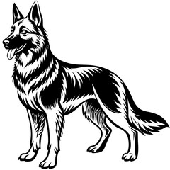 illustration of a dog