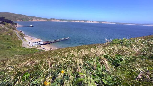 High Wide View of the Historic Point Reyes Lifeboat Station Pier in the Ocean. Clear Skies on a Windy Day with Vegetation Waving in the Frame. Chimney Trail Head, State Marine Reserve, California. 4K