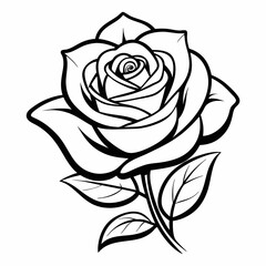 black rose vector illustration