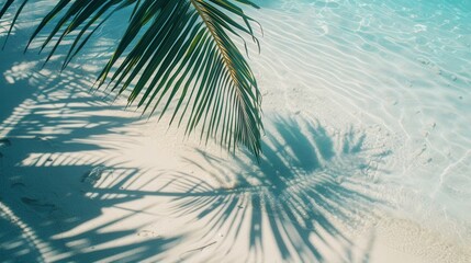 A palm leaf casts a shadow on the white sand of a beach. The water is clear and shallow.