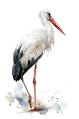 A beautiful watercolor painting of a white stork perched on a branch, surrounded by lush greenery
