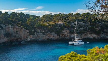 Tropikalna grafika - wyspa Majorka © polanski.portfolio