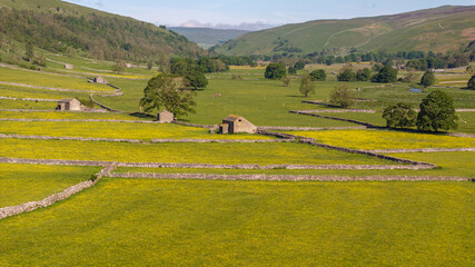 The Yorkshire Dales captured in all its glory with meadows of buttercup flowers and stone wall partitions, beautifully seen from an aerial drone view