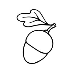 Linear sketch of an oak branch with acorns and leaves.Vector graphics.