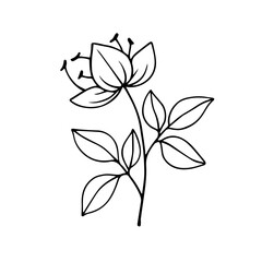 Sketch, doodle of a simple plant, flower. Vector graphics