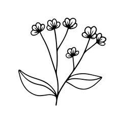 Sketch, doodle of a simple plant, flower. Vector graphics