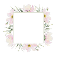 Cosmos flowers and leaves. Isolated hand drawn watercolor frame of pink cosmea. Summer floral of pink wildflowers wreath for wedding invitations, cards, packaging of goods