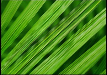 Vibrant Green Bamboo Blades