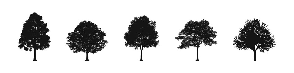 Fototapeta premium Tree collection. Tree vectors. Tree silhouettes