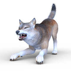 オオカミ　3DCGレンダリング