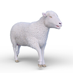 ヒツジ　3DCGレンダリング