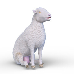 Obraz premium ヒツジ 3DCGレンダリング