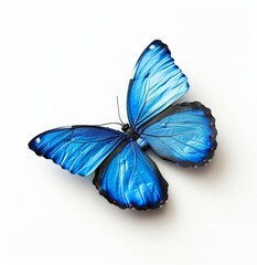 Stylish Artificial Butterfly Jewelry Decoration