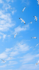 Fototapeta premium Elegant Soaring Seagulls Against a Vibrant Blue Sky: A Stunning Tribute to Bird Life