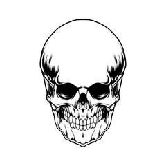 skull line art vector illustration design