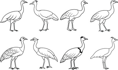 set of  Crane birds