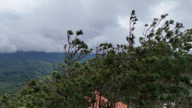 Vuelo sobre las copas de los arboles en las monta&ntilde;as de Altos del Mar&iacute;a, Panam&aacute;.