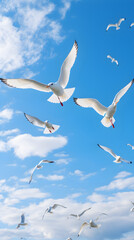 Obraz premium Elegant Soaring Seagulls Against a Vibrant Blue Sky: A Stunning Tribute to Bird Life