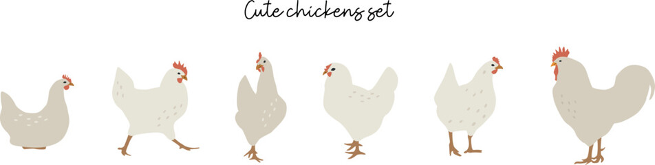 Flat chickens set illustration. Vector cliparts of domestic birds. Farming