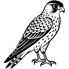 Captivating American Kestrel Vector Illustration A Detailed Guide