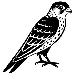 Captivating American Kestrel Vector Illustration A Detailed Guide