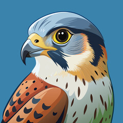 Captivating American Kestrel Vector Illustration A Detailed Guide