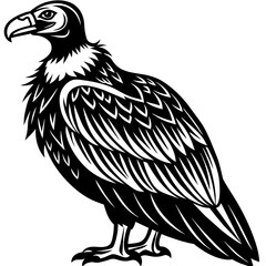 Fototapeta premium Stunning California Condor Vector Illustration High-Quality Art for Designers