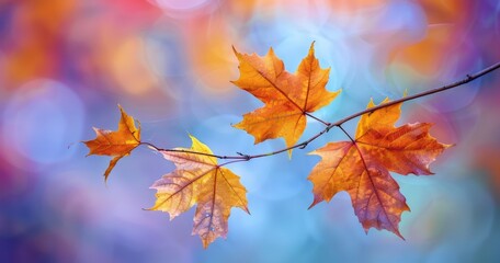 Fototapeta premium Autumn Blossoms in Motion: A Seasonal Blur Mosaic