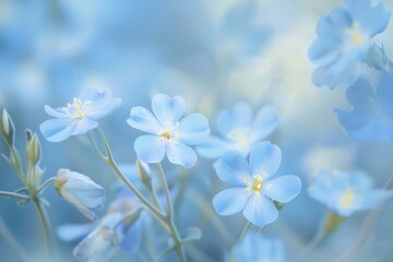 Beautiful Blue Flowers: A Field of Delicate Blossoms in Springtime