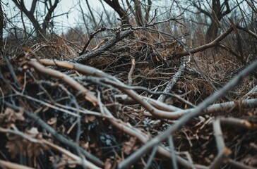Nature's Abandon: A Dilapidated Treehouse Amidst Overgrown Debris