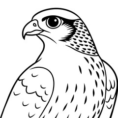 Stunning Cooper's Hawk Vector Illustration: High-Quality Digital Art for Nature Enthusiasts