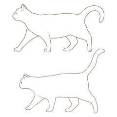 Cat side view scheme silhouette medical veterinary PNG illustration