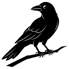 Graceful Crow Perched Vector Silhouette for Stunning Visuals