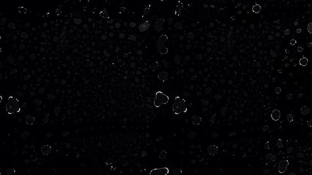 Animated textured background. Droplets, water drops. Seamless loop. Ideal for composition. Stop motion. Space for text, copy space. Abstract surface.