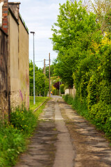 Quiet Urban Alley with Greenery Pathway